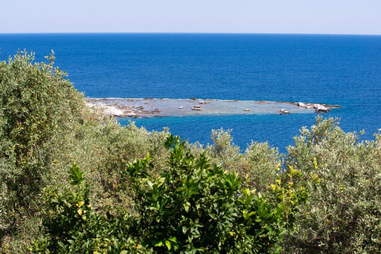 Archodissa Villa Thimonia Екстер'єр фото